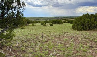 85 Co Rd 8128, Concho, AZ 85924