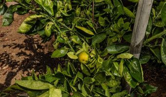 7655 E Silver Dollar Ln, Anaheim, CA 92808