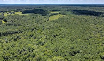 6925 Cobbham Rd, Appling, GA 30802