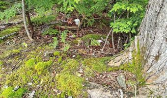 114 E Shore Rd, Benedicta, ME 04733