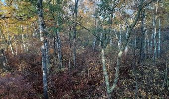 31538 County 23, Akeley, MN 56433