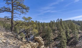 TBD Lot 4 Beaver Creek Ranch Drive, Bayfield, CO 81122