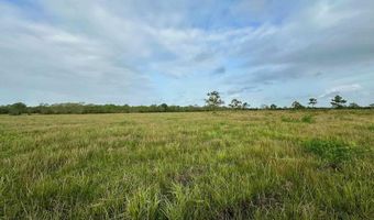 6742 Eagle Rd, Anahuac, TX 77514