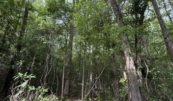 Fowler Road, Ashford, AL 36312