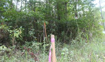 NE Hopewell Road, Brookhaven, MS 39601