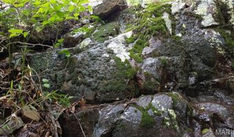13 Hidden Vly Lks, Annapolis, MO 63620