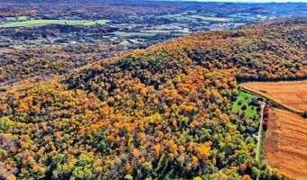 31 Yellow City Rd, Amenia, NY 12501