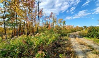 91 Greenleaf Brook Rd, Amity, ME 04730