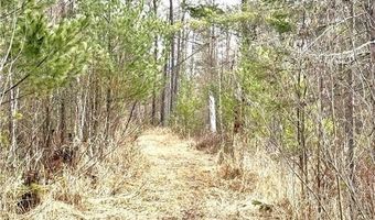 24996 Horseshoe Rd, Akeley, MN 56433