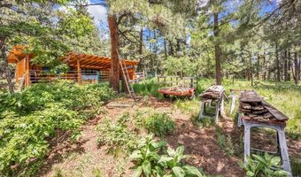 8564 Ridge Rd, Beulah, CO 81023