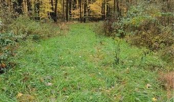 Schaen Drive, Andover, OH 44003