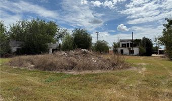 66 N Johnson St, Alice, TX 78332