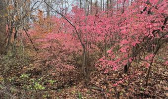 99- C Richmond Hwy, Amherst, VA 24521