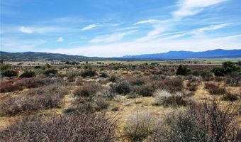 1 Mitchell Rd, Anza, CA 92539