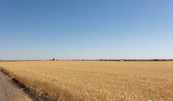 1 Vacant Land Penrith, Bennett, CO 80102
