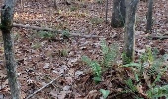 BLACKJACK ROAD lot 0, Argo, AL 35173