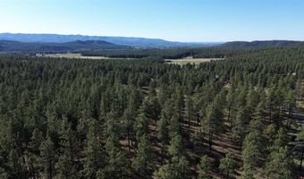782 Hawks Meadow Dr, Bayfield, CO 81122