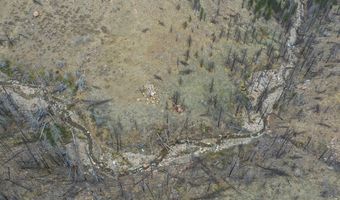 122 Black Hollow Rd, Bellvue, CO 80512