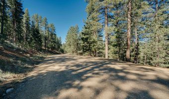 Snowmass Rd lot 9, Angel Fire, NM 87710