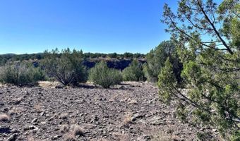 145 SW Reckless Ln, Ash Fork, AZ 86320