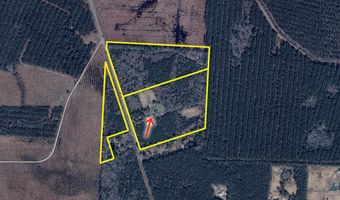 3264 Ten Acre Rd, Andrews, SC 29510