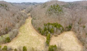 Willis Creek Rd, Albany, KY 42602