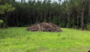 parcel 1 county road 6629, Banks, AL 36005