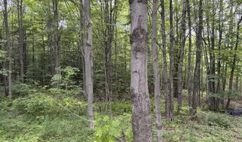 174 Rabideau Rd, Altona, NY 12910