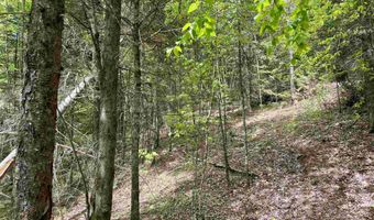 Marshall Newland Road, Burke, VT 05832