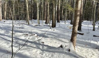 Lot 80-1 Currier Road, Candia, NH 03034