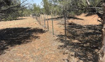 164 Rattlesnake Rd, Ash Fork, AZ 86320