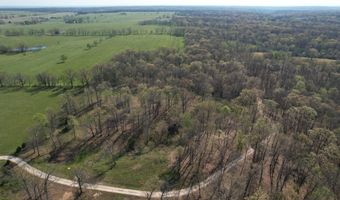 Tract 4 0000 Private Road 1184, Aurora, MO 65605