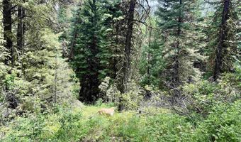 53 Landale Ln, Cascade, ID 83711