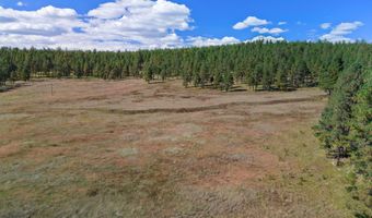 1 A FOREST ROAD 26, Alpine, AZ 85920