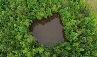 CR 5156, Booneville, MS 38829