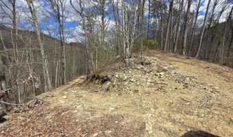 Steve Brown Rd, Bean Station, TN 37708