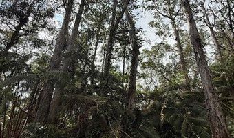 73-1818 HAO St, Kailua Kona, HI 96740