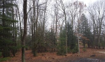 N10595 HWY 45, Aniwa, WI 54414