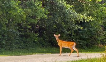 Silver Creek Rd, Alhambra, IL 62001