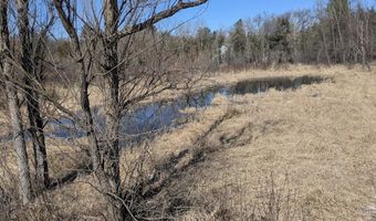2423 9th Dr, Adams, WI 53910