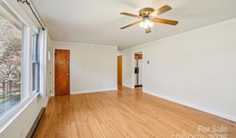 480 Paint Fork Rd, Barnardsville, NC 28709