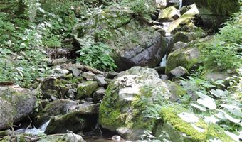 103 Chucks Ln, Bakersville, NC 28705