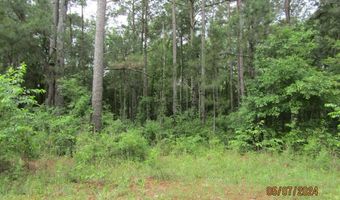 7275 Beulah Ln, Baconton, GA 31716