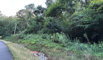ALEXANDRIA WELLINGTON ROAD lot 14, Alexandria, AL 36250