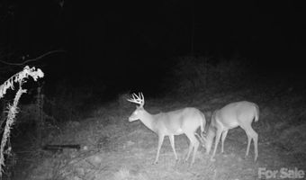 842 Old NC 20 Hwy, Alexander, NC 28701