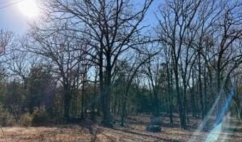 210 Private Rd 3013, Altus, AR 72821