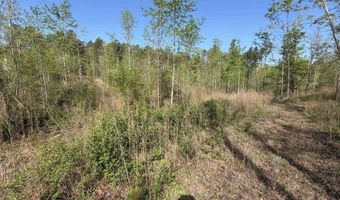 2125 Hwy 247, Belton, SC 29627