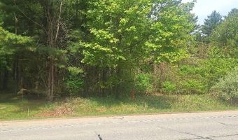 Parcel 2 Lakeshore Road, Applegate, MI 48401