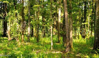 Cypress Pointe Drive lot 5, Brooksville, MS 39739