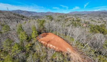 430 Live Oak Ter, Andrews, NC 28901